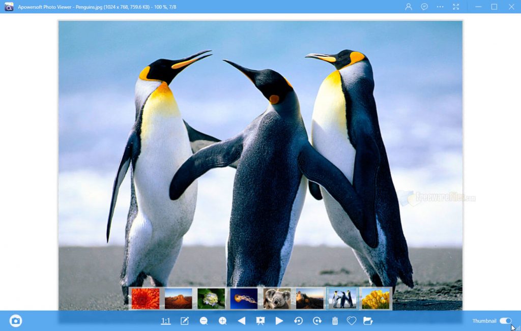 best programs to organize photos on mac