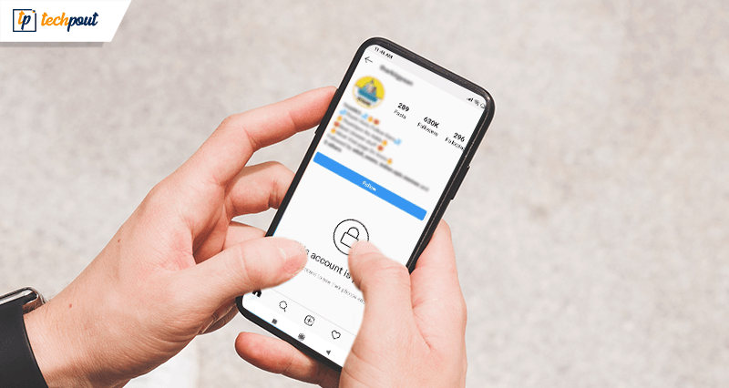 How To View Private Instagram Profiles? | TechPout