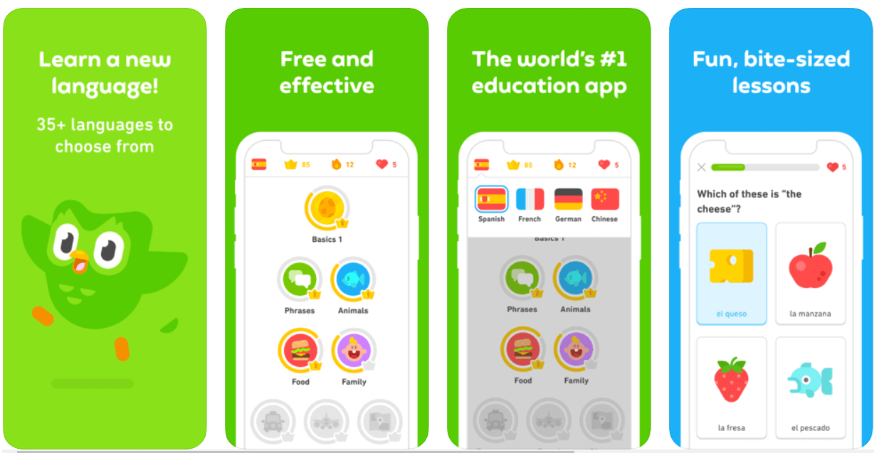 duolingo learn english