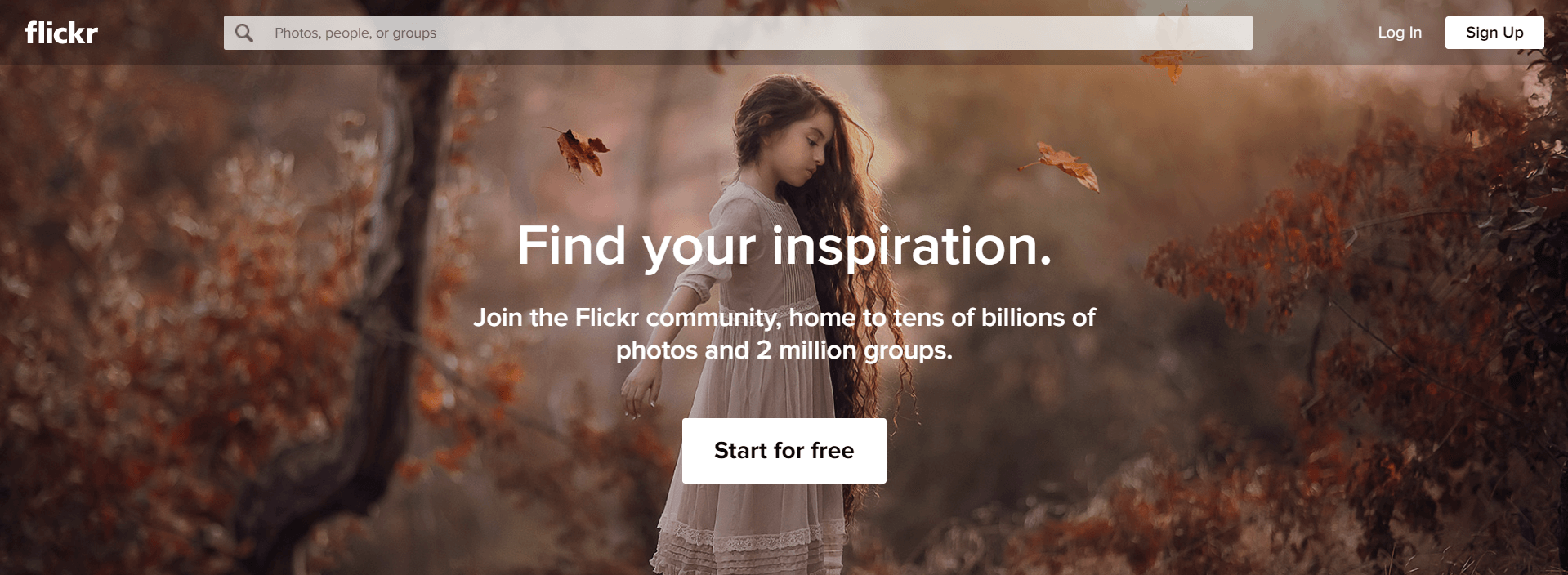 15 Best Free Stock Photo Sites To Use in 2020 - 21