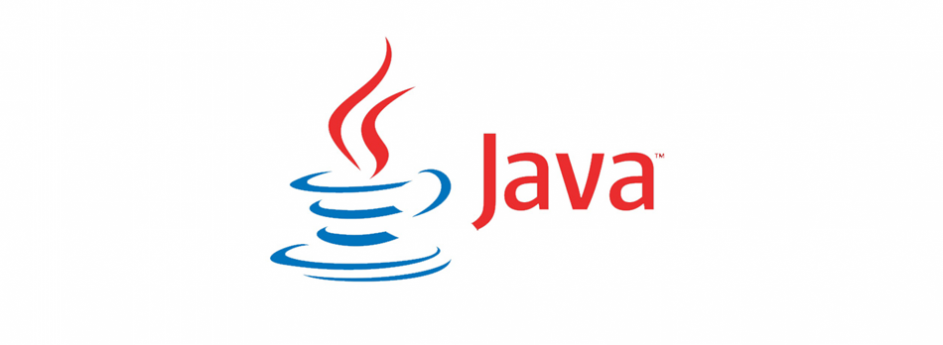 Java Programming Language