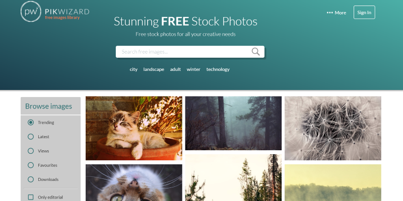 15 Best Free Stock Photo Sites To Use in 2020 - 1