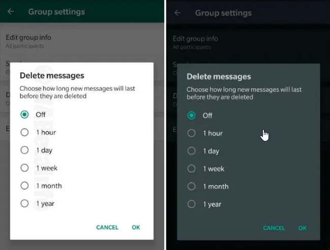 WhatsApp Self-Destruct Messages