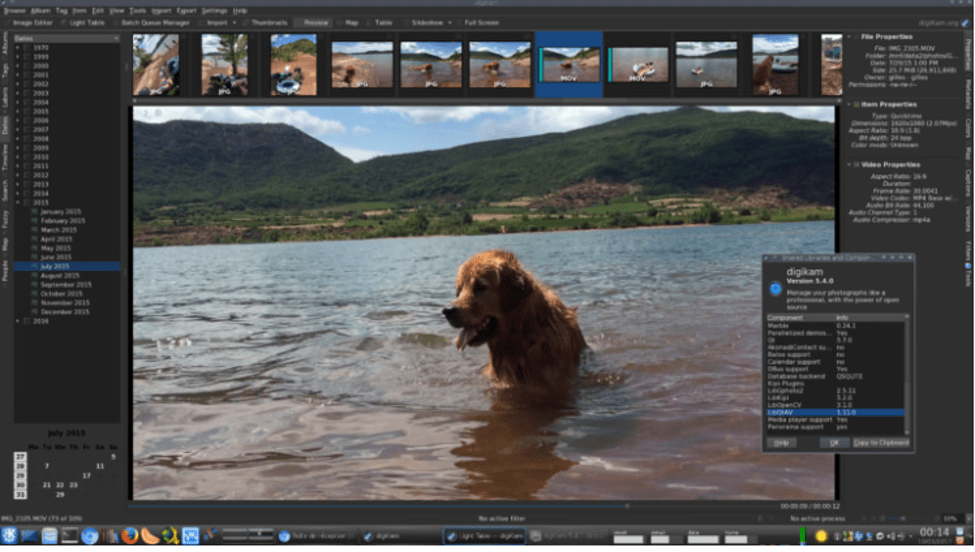 15 Best Photo Organizing Software For Windows 10 8 7 In 2021 - 69