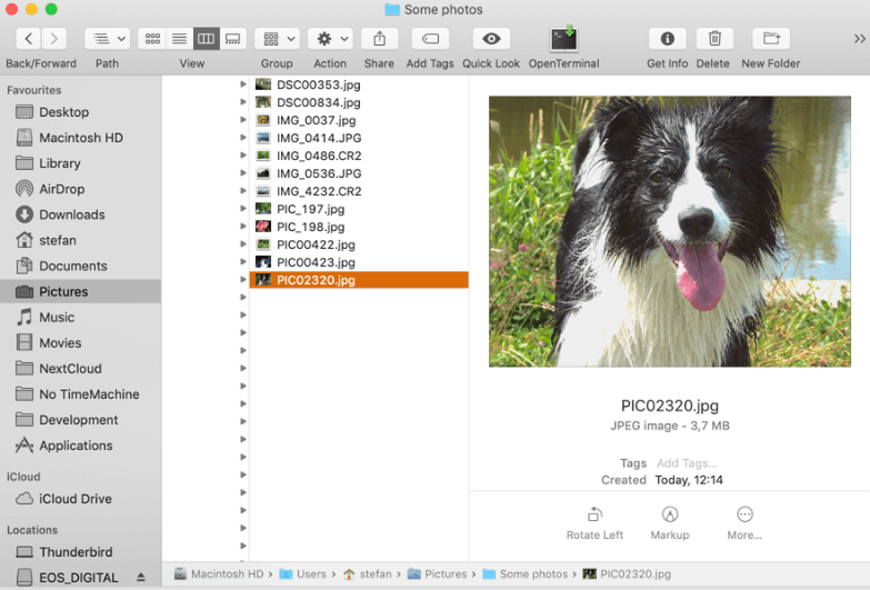 Free file renamer mac