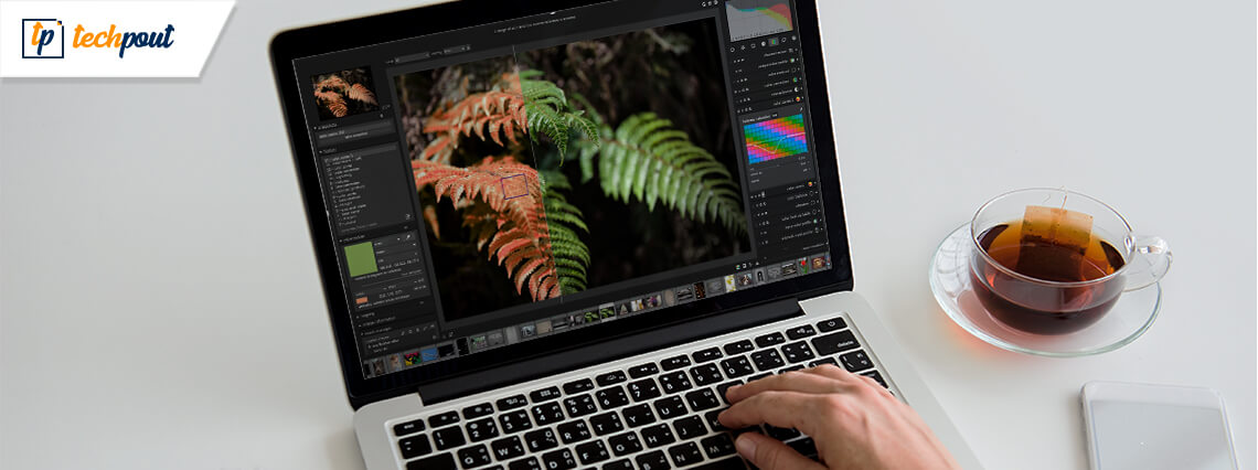 Best Free Lightroom Alternatives In 2021