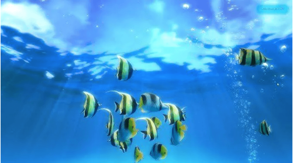 best free aquarium screensaver for windows