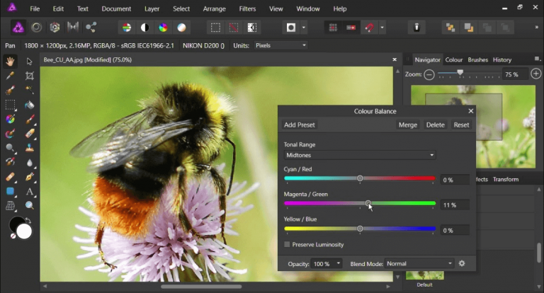 Best Photo Stitching Software For Windows In