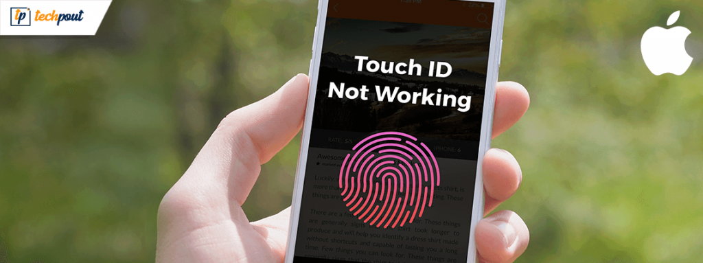 Touch ID Not Working On IPhone? Here’s What To Do | Techpout