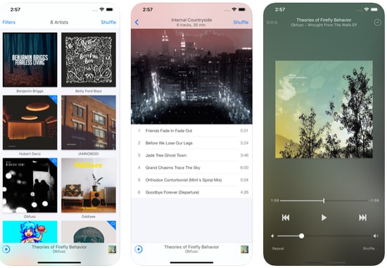 8 Best iTunes Alternatives For iPhone And iPad In 2020 - 42