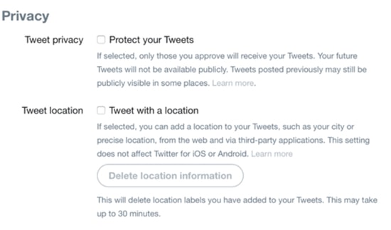 Privacy and Safety on Twitter