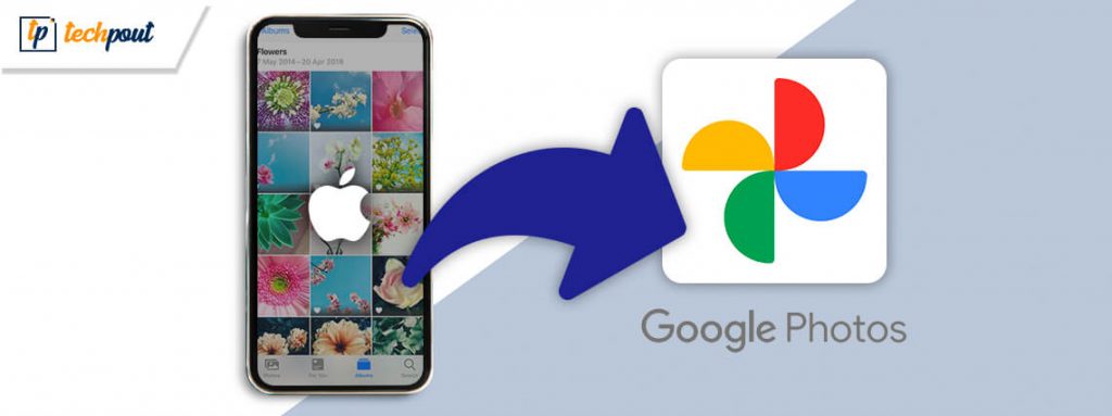 How to backup iphone photos to google photos 2020 techpout
