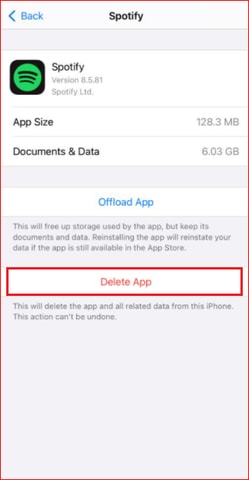 Delete App from iPhone or iPad