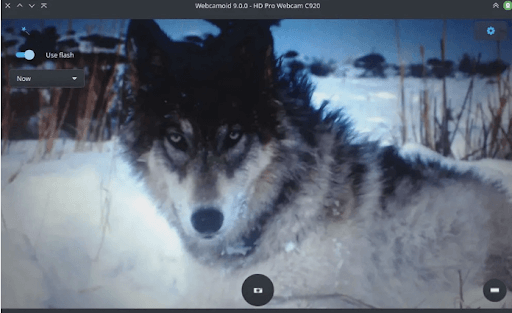 14 Best Free Webcam Software for Windows in 2023 - 50