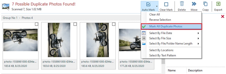 Ashisoft Duplicate Photo Finder Review 2021   A Complete Guide - 8