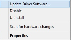 select Update Driver software