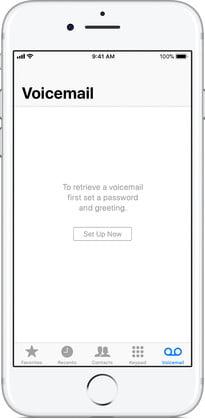 How to Setup Voicemail on iPhone 11 - 2