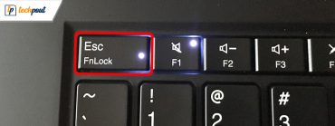 Esc Key Not Working On Windows 10 [Fixed]