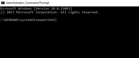 input the powershell command