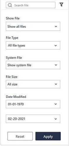 file filter options of recoverit