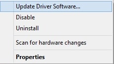 Choose Update Driver Software 
