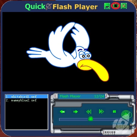 Quick Flash Player