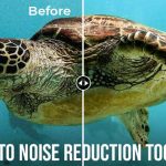 Best Free Photo Noise Reduction Tools and Websites in 2024