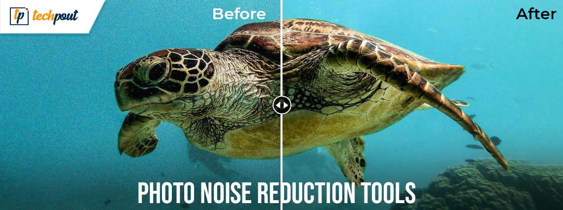 Best Free Photo Noise Reduction Tools and Websites in 2024