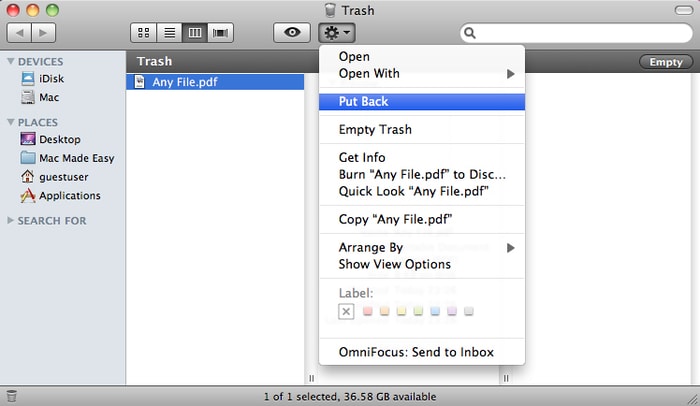 Clear Trash Bin of Your Mac Device