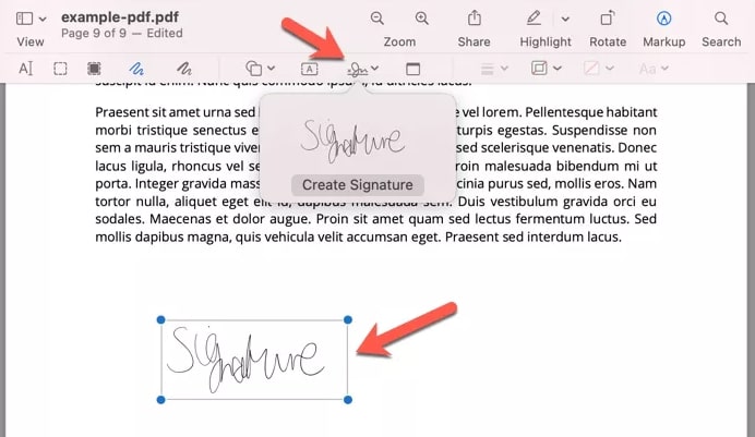 Create Signature in Document