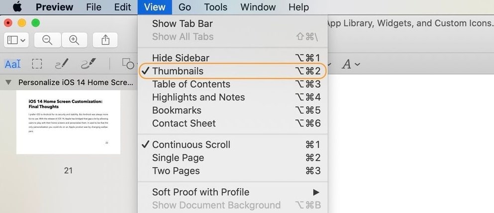 Choose Thumbnails in PDF Document