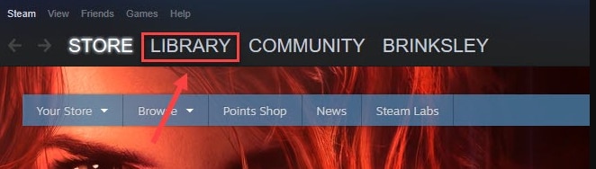 Select Library on Steam