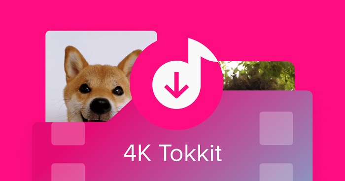 6 Best Online TikTok Video Downloader in 2022  Easiest Way  - 52