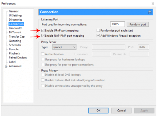Enable NAT-PMP port mapping