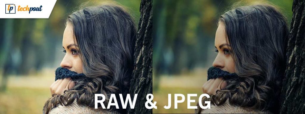 What Is The Difference Between Raw And Jpeg 1024x383 