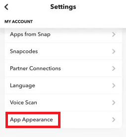 Snapchat App Appearance