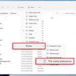 How to Hide or See File Extension in Windows 11