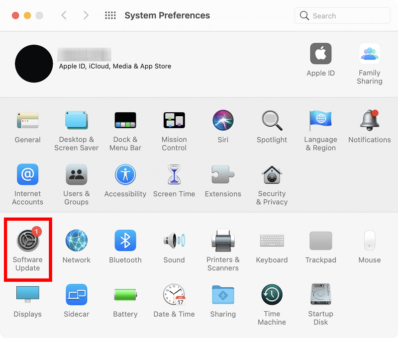 System Preferences and select the Software Update