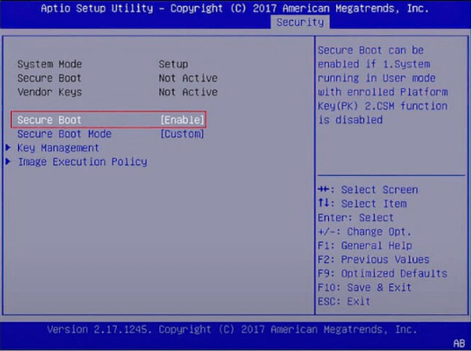 Secure Boot option and enable it