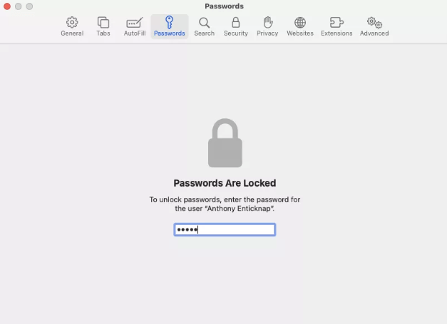 type your admin password in macbook