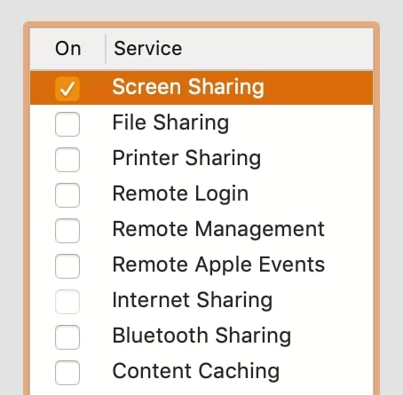 choose screen sharing