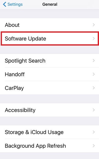 Software Update option in iphone