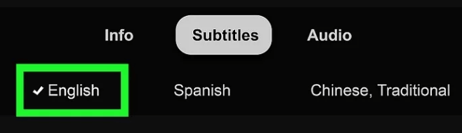 Select the language for the subtitles
