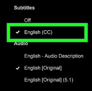 Turn on the subtitles and choose the Audio