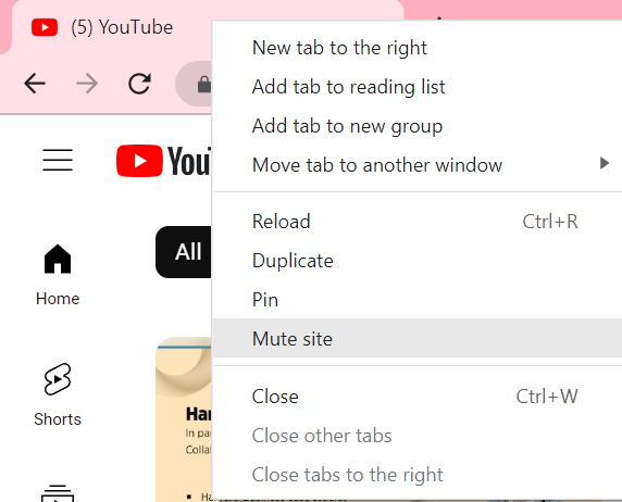 webpage and press the Mute Site option