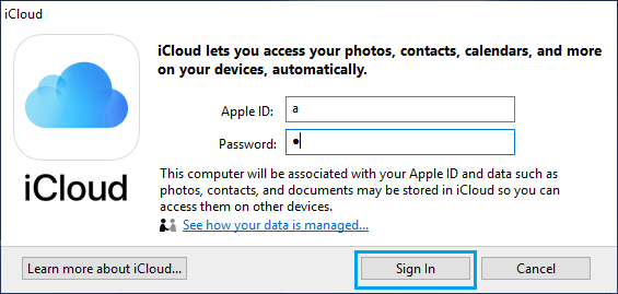 Apple ID and Password to sign in to iCloud