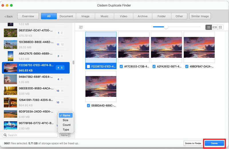 select the duplicate files you wish to delete