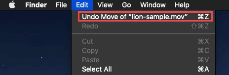 Undo Move of your filename