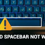 How to Fix Keyboard Spacebar Not Working in Windows 10, 11