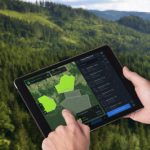 EOS Data Analytics Enhances Its EOSDA Forest Monitoring Solution To Further Promote Sustainable Forestry Management